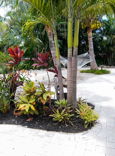 Mina Moon Takes Big Cock in Hairy Pussy