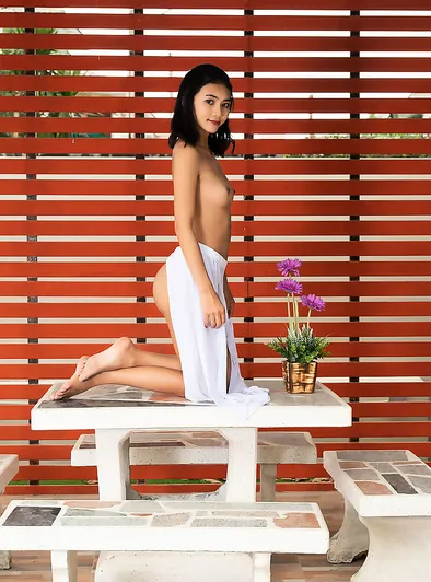 Yori’s Courtyard Sunlit Spread